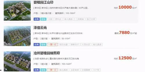 沧州最新爆料,揭秘城市新动向与热点事件